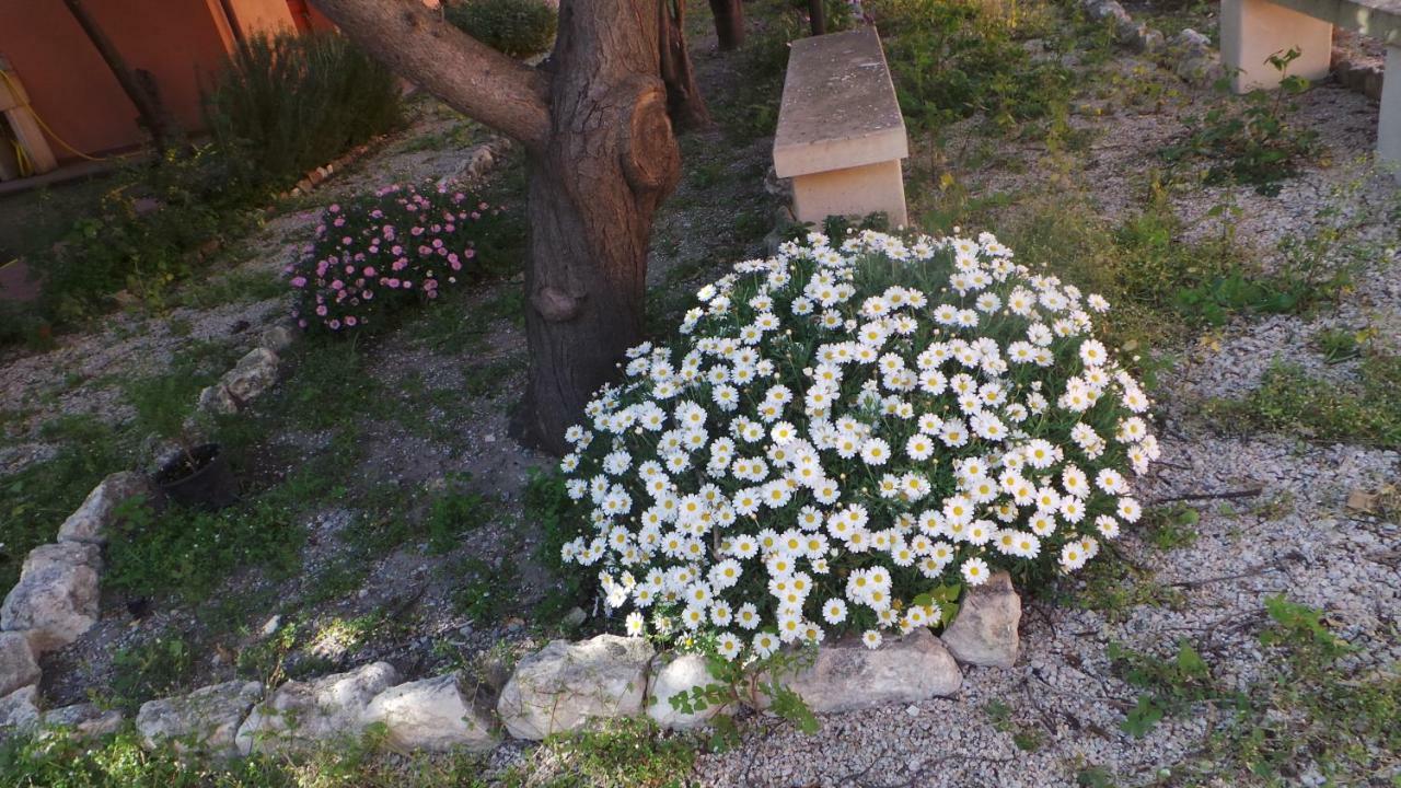 Oasi Ottocento Bed & Breakfast Quartu SantʼElena Екстериор снимка
